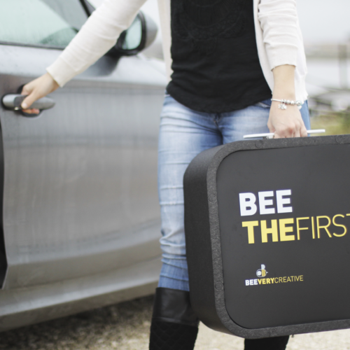 BEEPACK carry case