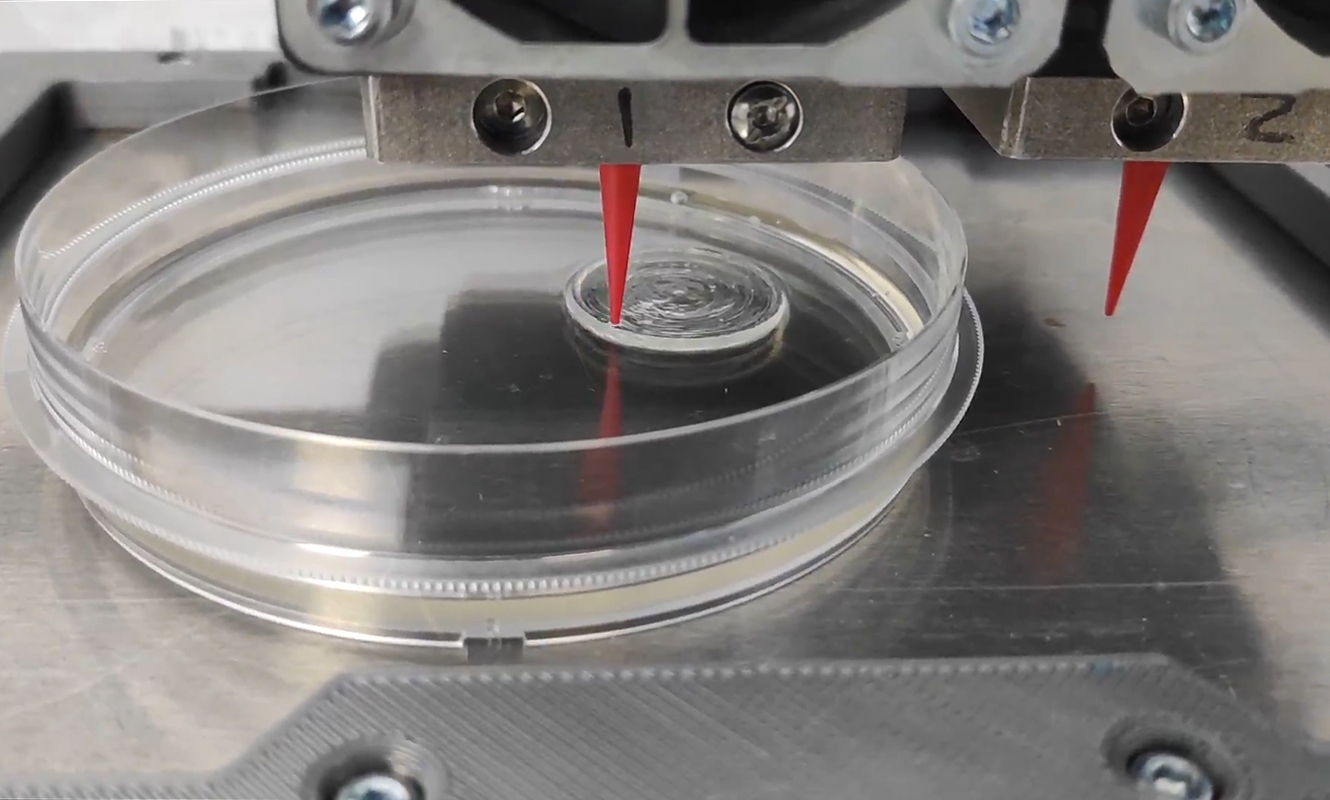BEEVERYCREATIVE BIOPRINTER