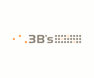 3B's
